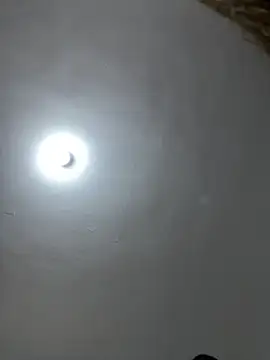 -Naomyy- online show from February 8, 2026, 1:36 am