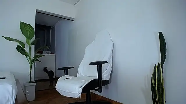 diamond black00 online show from October 20, 2025, 12:13 am