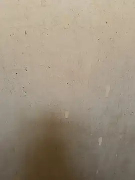 loveme99004 online show from March 18, 2026, 9:01 am