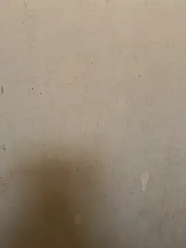 loveme99004 online show from March 11, 2026, 9:03 am