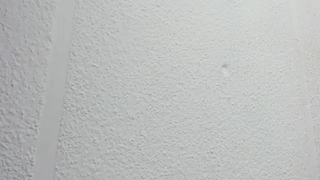 JESSYCORTES online show from October 15, 2025, 2:25 pm