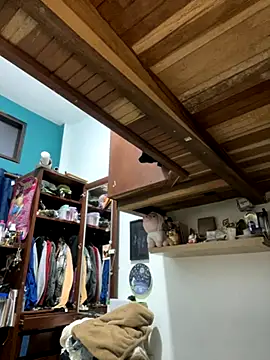 SophiaWeestt99 online show from December 4, 2025, 4:11 am