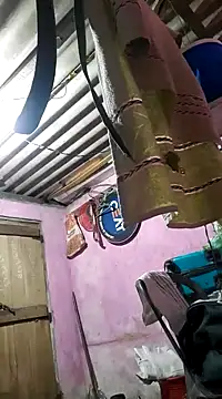 roundbunny online show from January 4, 2025, 4:43 pm