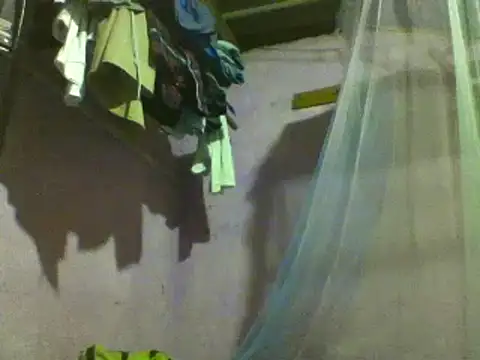 roundbunny online show from December 10, 2024, 5:00 pm