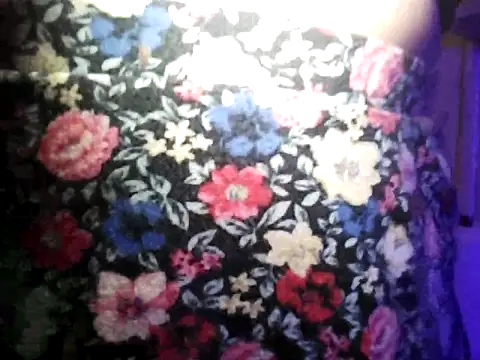 Rosaselvagem online show from December 25, 2024, 2:25 am