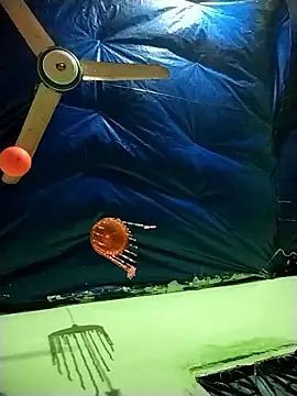 Snapshot of Shapla_1 chatting on January 10, 2026, 2:34 pm Shapla 1 online show from January 10, 2026, 2:34 pm