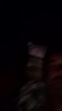 Gianlucazeis online show from June 3, 2026, 2:56 am