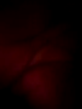 wildfox566 online show from March 16, 2026, 5:37 pm