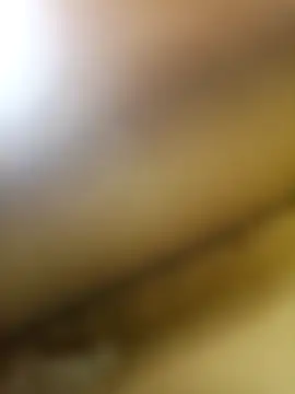 wildfox566 online show from March 21, 2026, 3:52 am