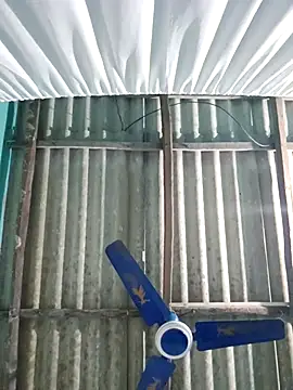 Snapshot of hotbaby_5 chatting on November 26, 2025, 1:11 pm hotbaby 5 online show from November 26, 2025, 1:11 pm