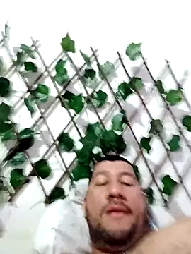 therollingg online show from March 15, 2025, 3:51 am