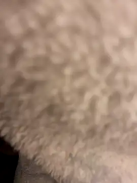 DaneLoveSexy online show from March 21, 2025, 8:50 am