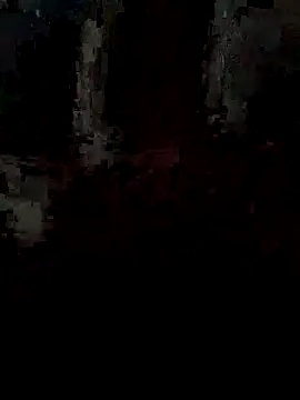 pintuS40 online show from September 15, 2025, 2:23 am