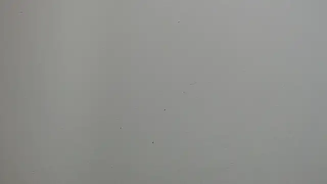 sussy leon online show from March 18, 2025, 12:28 pm