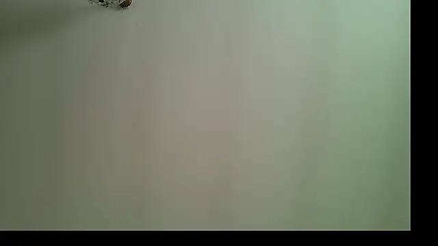 panigalenew online show from October 25, 2025, 12:28 pm