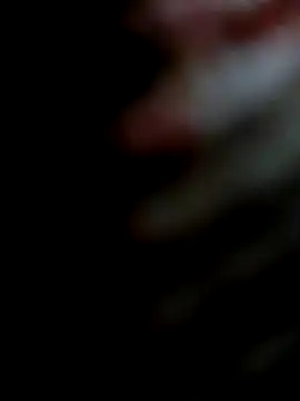 miamiworld online show from December 13, 2024, 2:27 pm