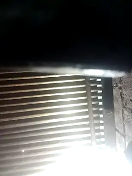 Huebolocko online show from December 29, 2024, 6:56 am