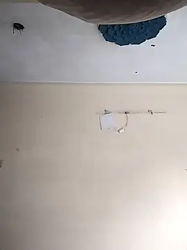 heartless  95 online show from October 20, 2025, 3:30 am