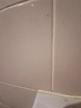 Snapshot of mertbey07 chatting on December 25, 2024, 7:45 pm mertbey07 online show from December 25, 2024, 7:45 pm