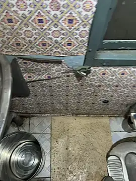 A-mira online show from March 6, 2025, 6:48 pm