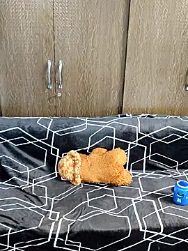 indian yourshreya69 online show from March 15, 2026, 2:18 am