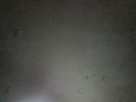 dvalley1 online show from February 28, 2025, 8:53 am