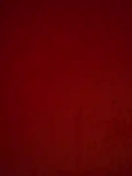 Snapshot of girldam95 chatting on February 20, 2026, 6:19 am girldam95 online show from February 20, 2026, 6:19 am