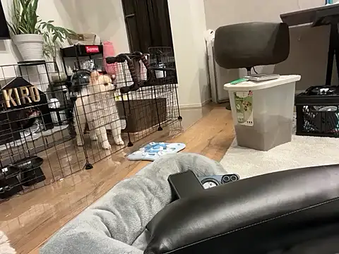 kensnb online show from November 1, 2025, 9:14 am