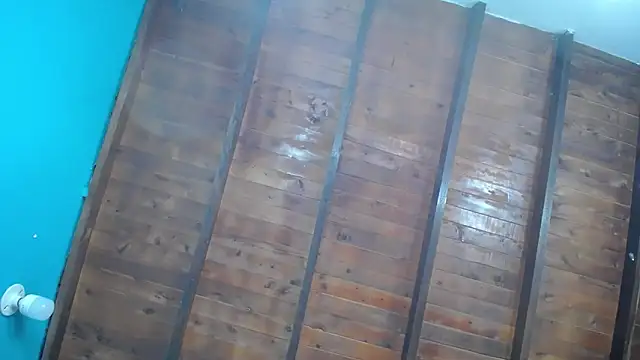 dante ferraraa online show from September 12, 2025, 10:09 pm