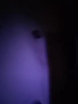 Dani pegin online show from December 2, 2025, 1:02 pm