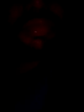 mohitsexy12 online show from December 8, 2024, 5:33 pm