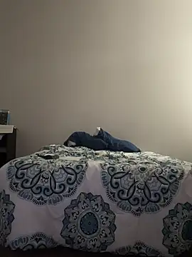 domoferrara online show from February 19, 2026, 3:09 pm