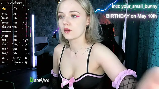 Your small bunny online show from May 9, 2026, 2:04 am