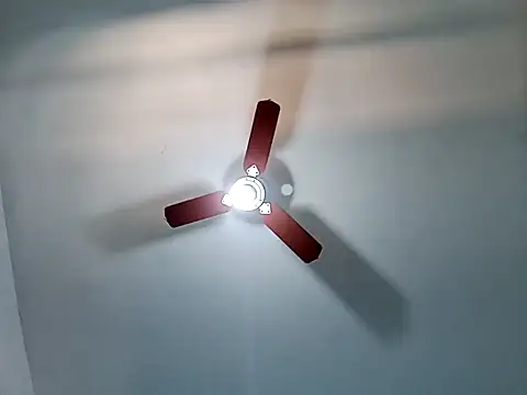 Gostozim7 online show from February 5, 2025, 4:36 pm