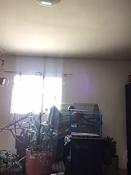 Miss oliviaa online show from October 22, 2025, 2:05 pm