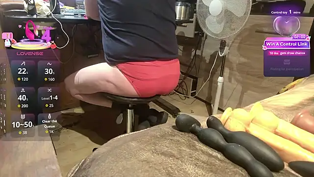 misteryman1956 online show from July 22, 2026, 3:52 am