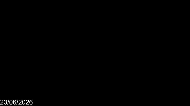 Bylie Hills online show from June 25, 2026, 9:53 pm