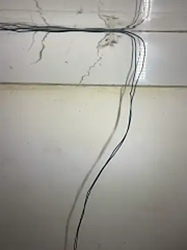 cute panda03 online show from February 12, 2026, 7:35 pm