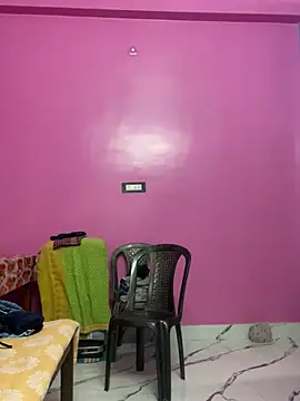 cute panda03 online show from January 16, 2025, 2:19 pm