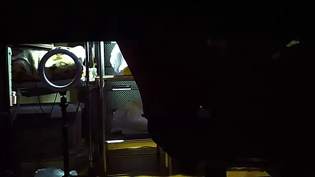 qoooqing67 online show from December 15, 2024, 6:18 am