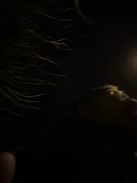 tipico0799 online show from March 1, 2025, 1:43 am