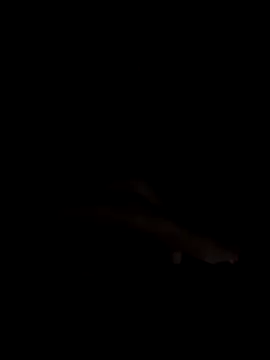 PEACHY439 online show from November 13, 2025, 5:11 am