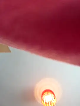 Chneor28 online show from January 12, 2026, 11:28 am