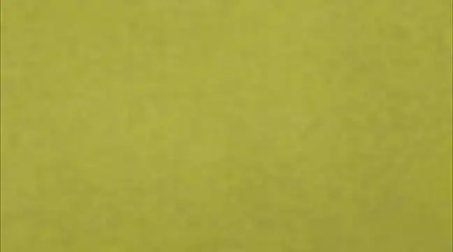 AnneGagner online show from March 9, 2025, 6:32 pm