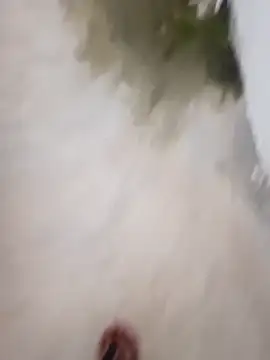 Snapshot of nick05inch chatting on September 19, 2025, 12:53 pm nick05inch online show from September 19, 2025, 12:53 pm