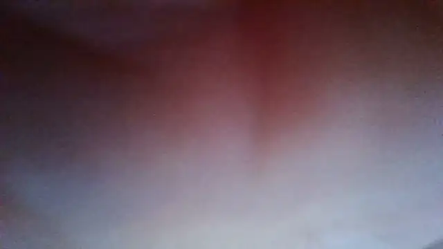 Evasapples online show from July 20, 2026, 7:38 pm