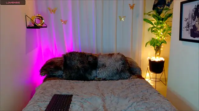 Snapshot of Kaaiiri chatting on March 17, 2026, 10:29 am Kaaiiri online show from March 17, 2026, 10:29 am