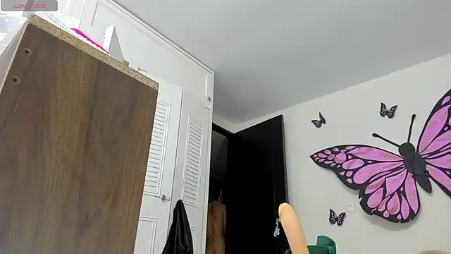 sweet amalia4 online show from December 13, 2025, 11:11 pm