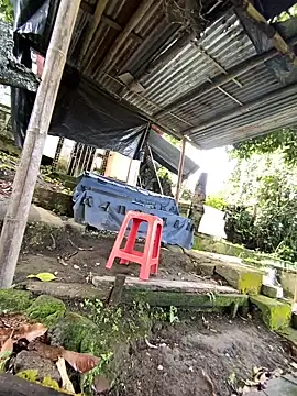 Jestebanano online show from June 8, 2026, 12:38 pm