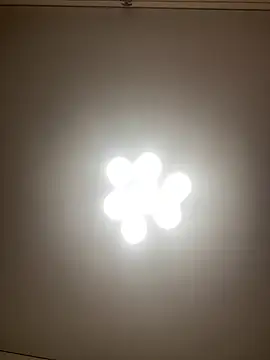 Janet Welder online show from December 10, 2024, 2:16 am